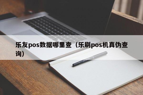 乐友pos数据哪里查（乐刷pos机真伪查询）