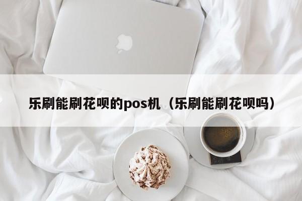乐刷能刷花呗的pos机（乐刷能刷花呗吗）