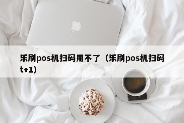 乐刷pos机扫码用不了（乐刷pos机扫码t+1）