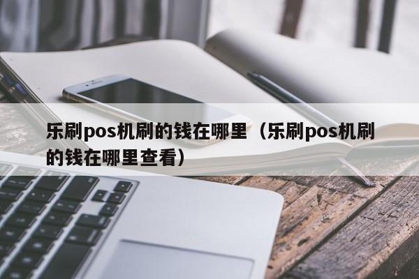 乐刷pos机刷的钱在哪里（乐刷pos机刷的钱在哪里查看）
