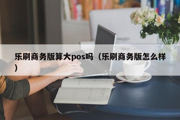 乐刷商务版算大pos吗（乐刷商务版怎么样）