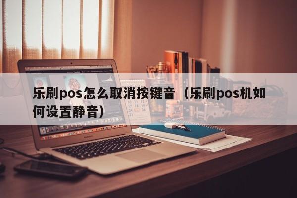 乐刷pos怎么取消按键音（乐刷pos机如何设置静音）