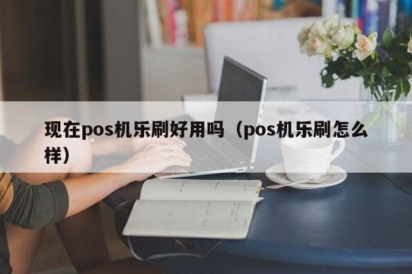 现在pos机乐刷好用吗（pos机乐刷怎么样）