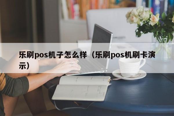 乐刷pos机子怎么样（乐刷pos机刷卡演示）