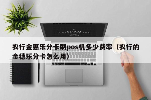 农行金惠乐分卡刷pos机多少费率（农行的金穗乐分卡怎么用）