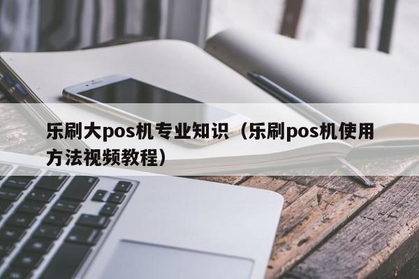 乐刷大pos机专业知识（乐刷pos机使用方法视频教程）