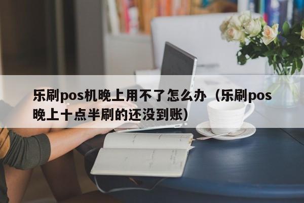 乐刷pos机晚上用不了怎么办（乐刷pos晚上十点半刷的还没到账）