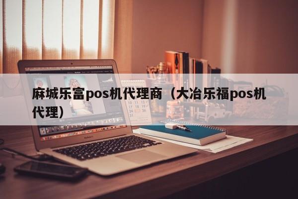 麻城乐富pos机代理商（大冶乐福pos机代理）