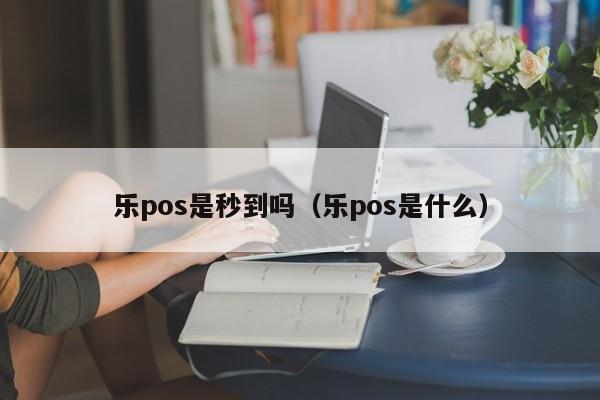 乐pos是秒到吗（乐pos是什么）