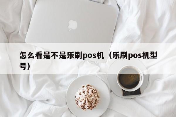 怎么看是不是乐刷pos机（乐刷pos机型号）