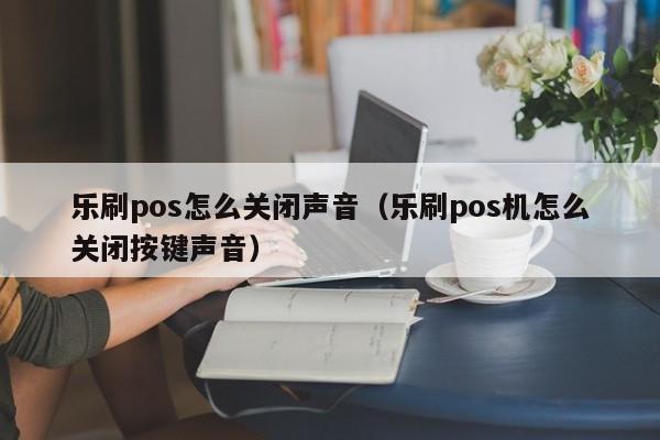 乐刷pos怎么关闭声音（乐刷pos机怎么关闭按键声音）