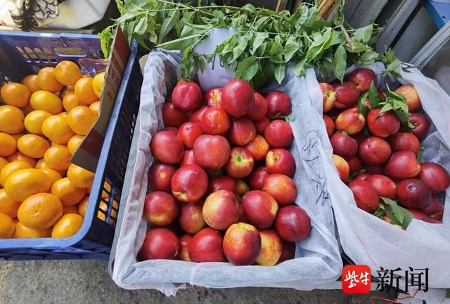 时令水果齐上市，价格不算高，荔枝只要9.9元