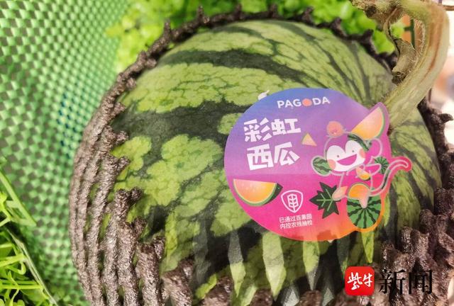 时令水果齐上市，价格不算高，荔枝只要9.9元