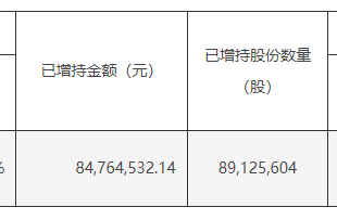 卢志强紧急出手！ 退市关键时刻泛海系再度紧急增持