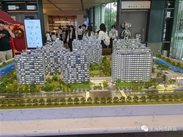 网传上海一新盘只需一成首付？记者去现场看了看