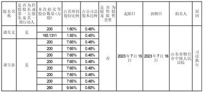 重庆三圣实业股份有限公司关于控股股东及其一致行动人所持公司部分股份将被司法拍卖的提示性公告