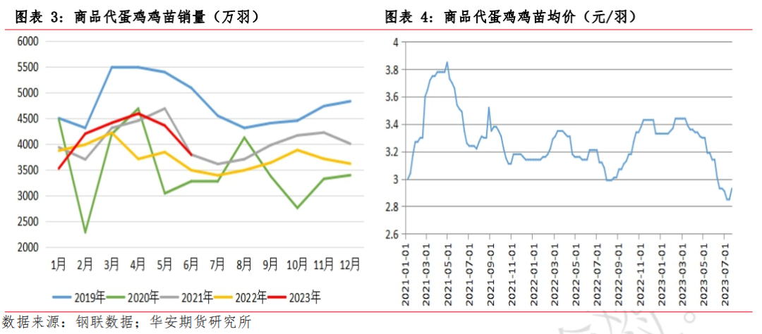 月报 | 8月鸡蛋市场展望：消费旺季预热，提振蛋价