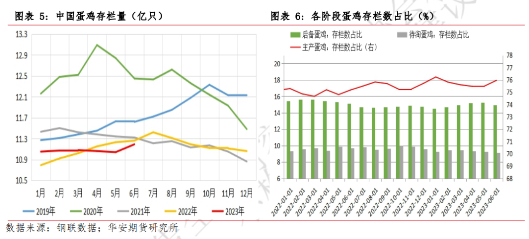月报 | 8月鸡蛋市场展望：消费旺季预热，提振蛋价