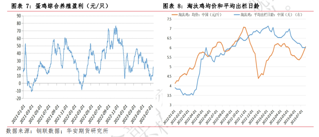 月报 | 8月鸡蛋市场展望：消费旺季预热，提振蛋价