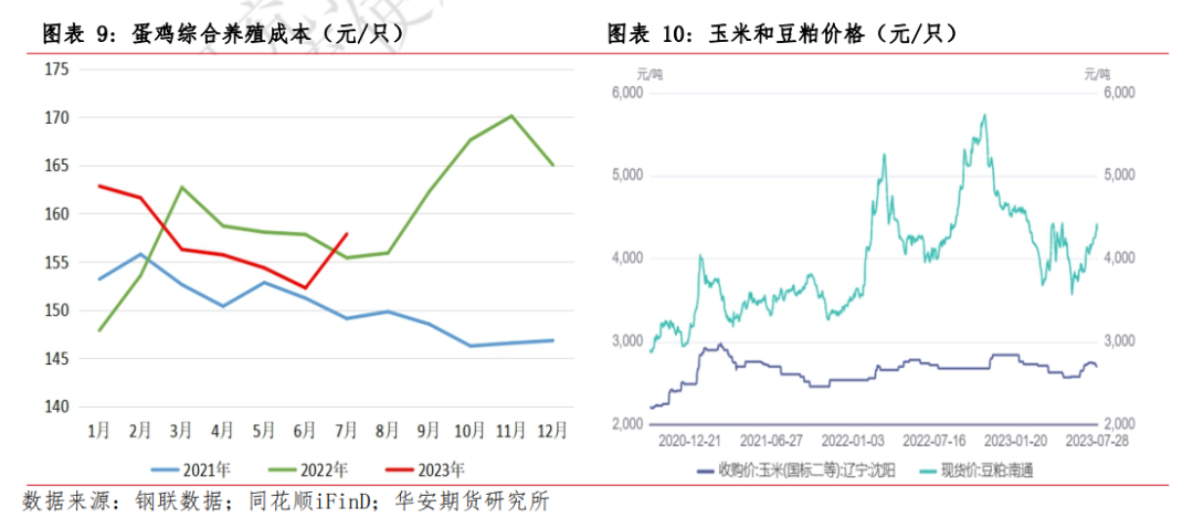 月报 | 8月鸡蛋市场展望：消费旺季预热，提振蛋价